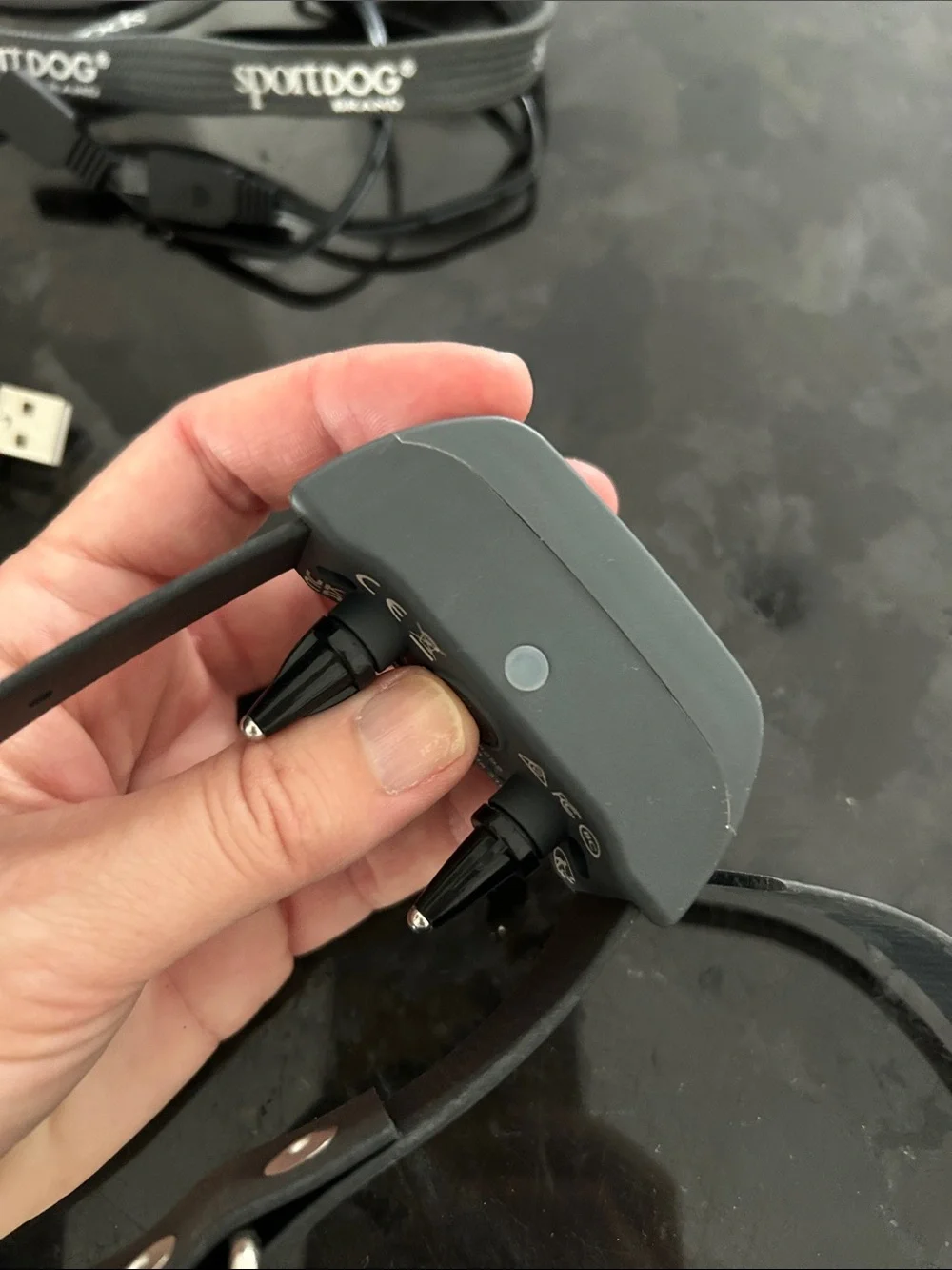 425X Remote Trainer Collar - Black and Gray sport dog